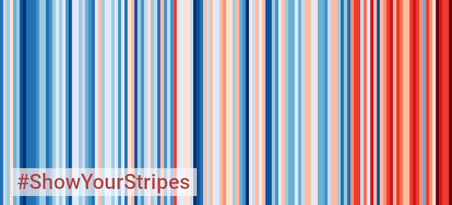 stripes_news.png